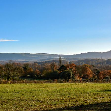 Garden Flat Near Goodwood With Stunning Views Apartment Petersfield Luaran gambar