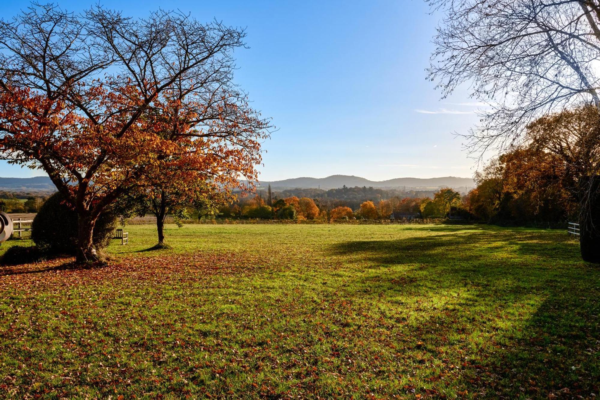 Garden Flat Near Goodwood With Stunning Views Apartment Petersfield Luaran gambar
