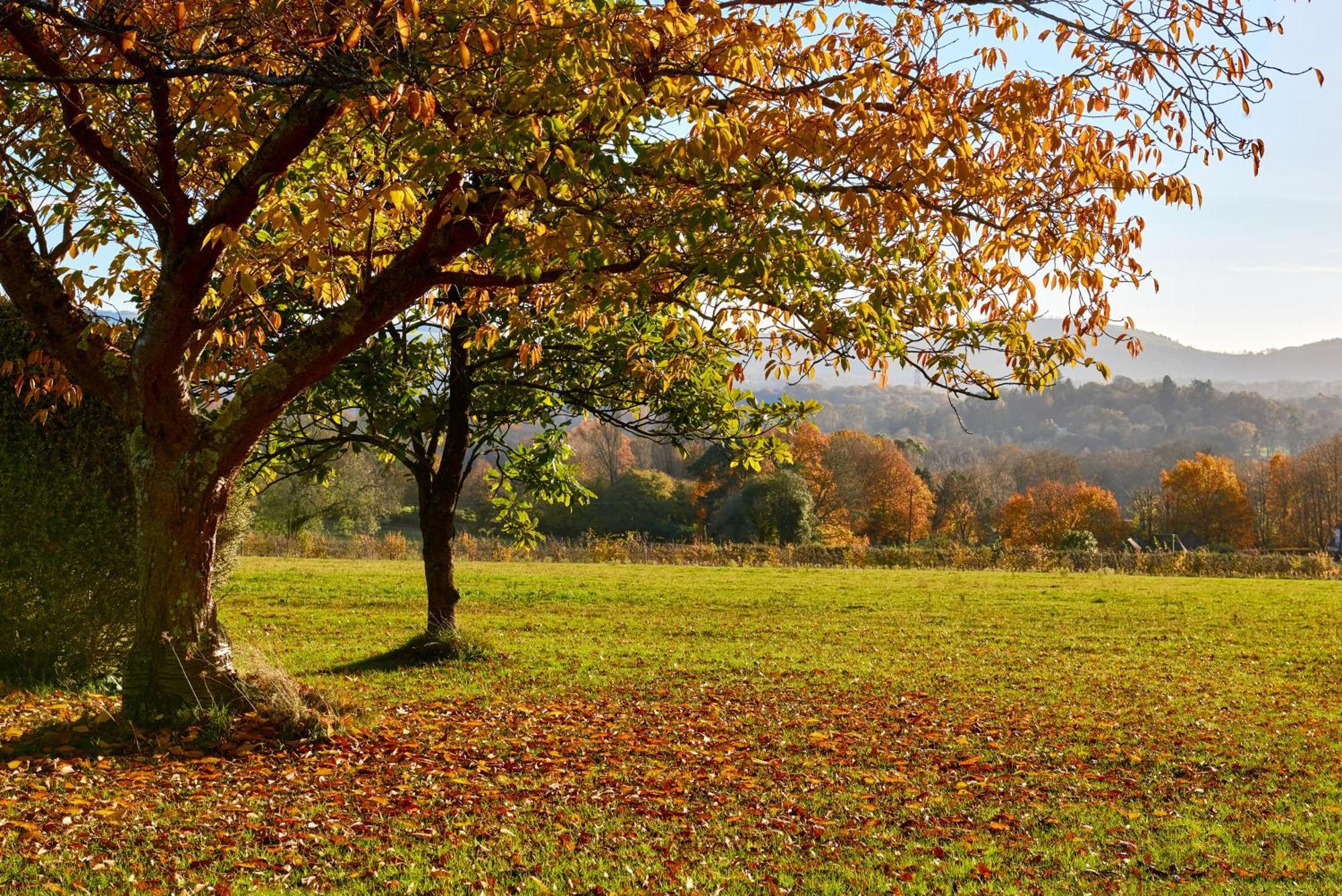 Garden Flat Near Goodwood With Stunning Views Apartment Petersfield Luaran gambar