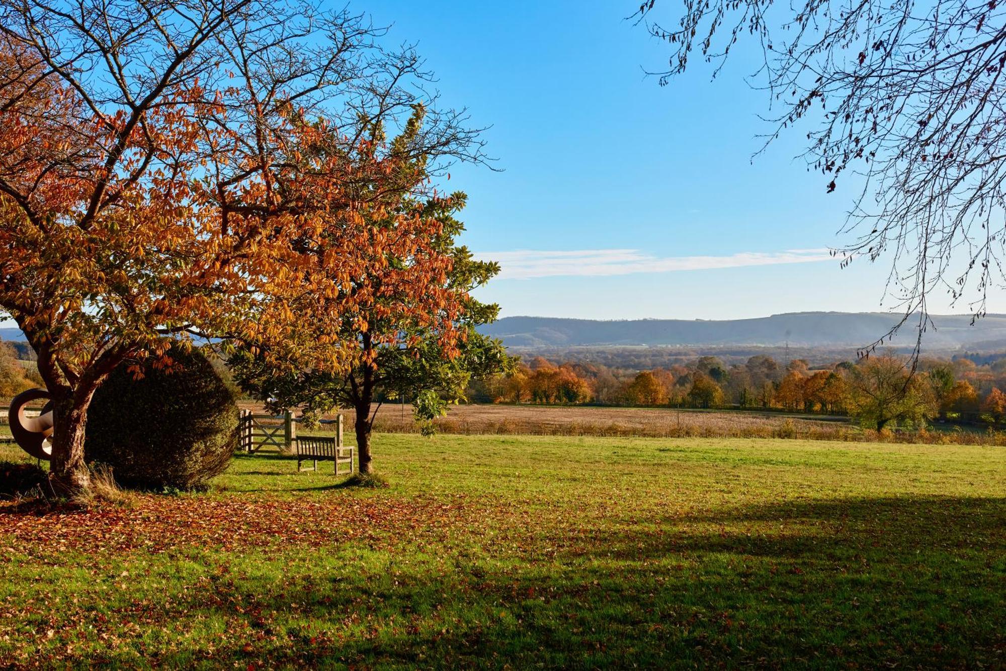 Garden Flat Near Goodwood With Stunning Views Apartment Petersfield Luaran gambar